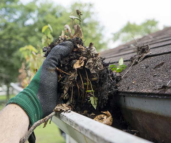 Gutter Maintenance Services